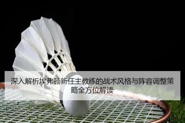 深入解析埃弗顿新任主教练的战术风格与阵容调整策略全方位解读